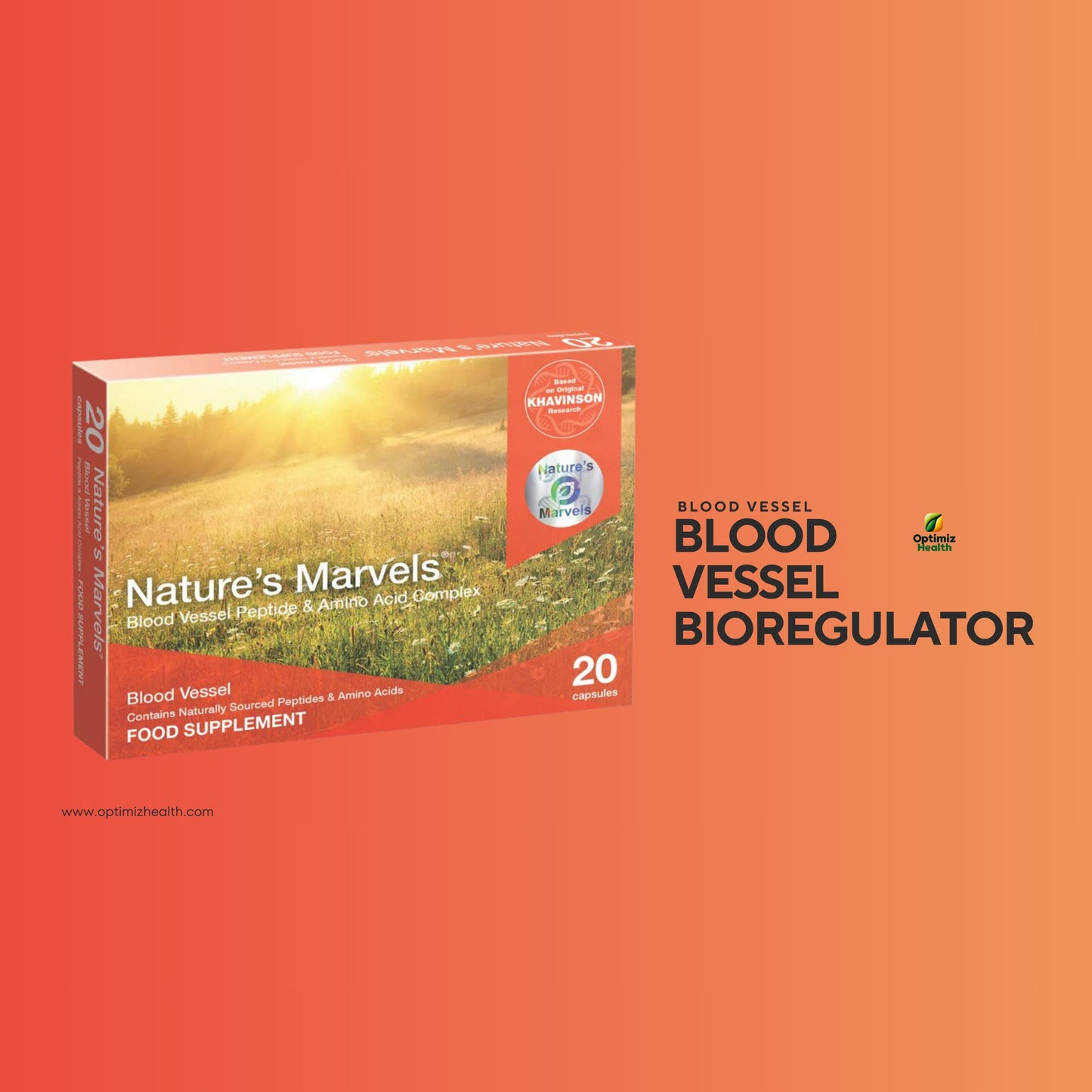 Blood Vessel Bioregulator (Nature’s Marvels™)