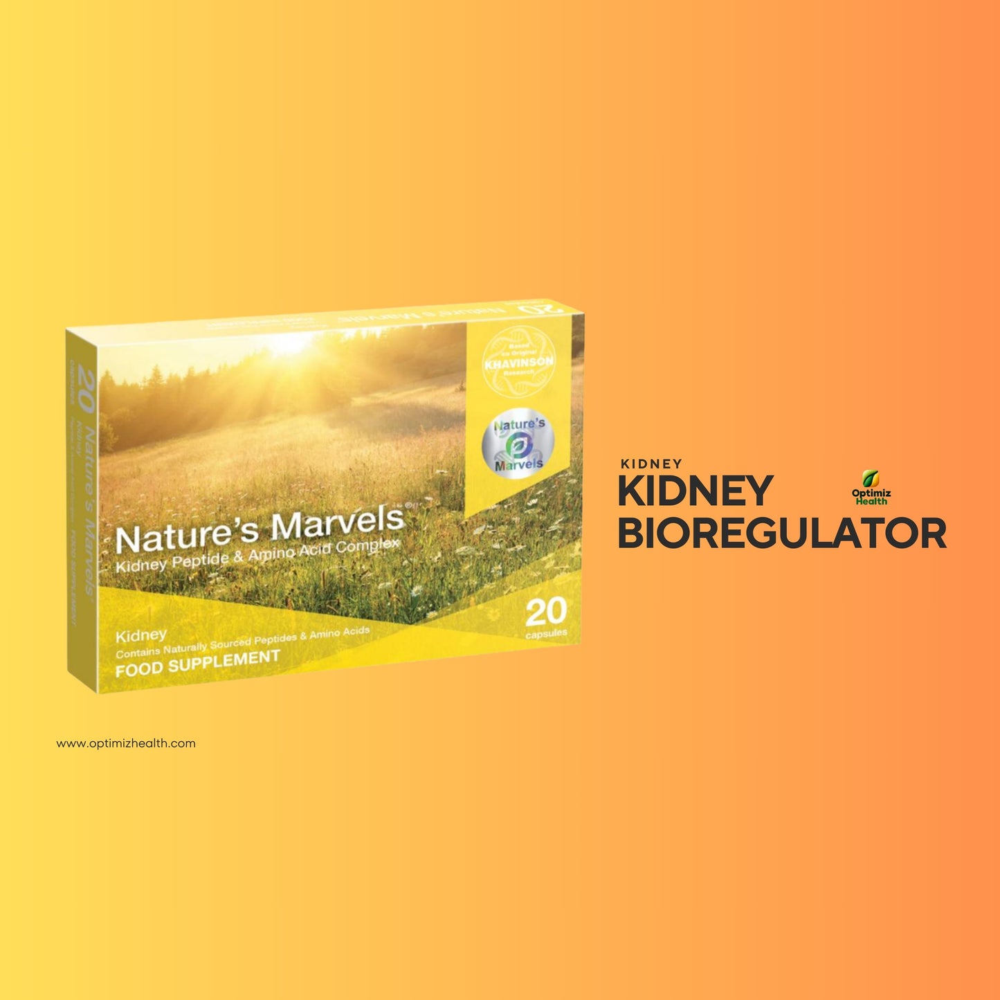 Kidney Bioregulator (Nature’s Marvels™)
