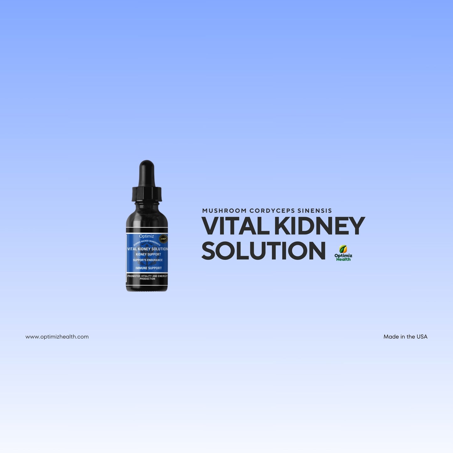 Vital Kidney Solution Dropper – Mushroom Cordyceps Sinensis 1000mg