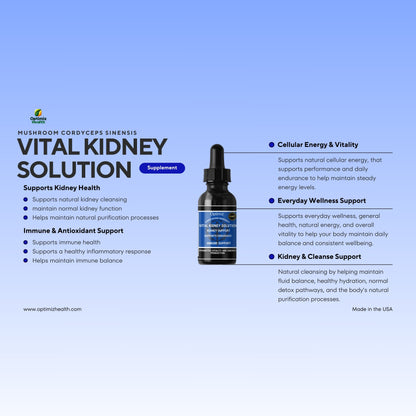 Vital Kidney Solution Dropper – Mushroom Cordyceps Sinensis 1000mg